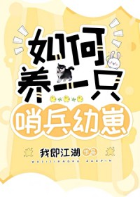 哨兵gl